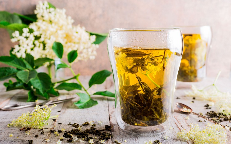 infusion de sauco