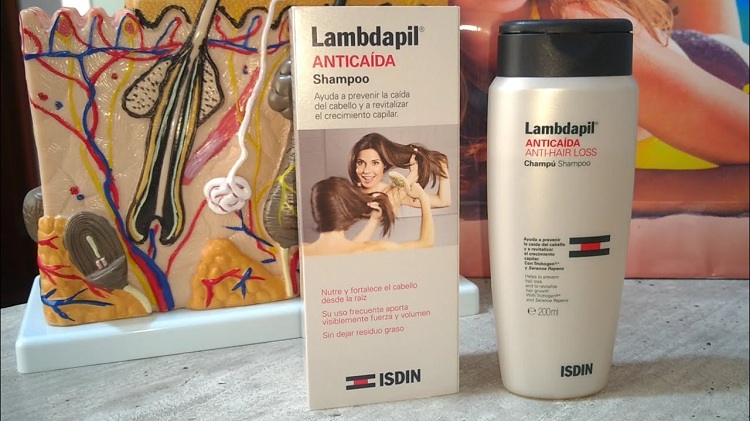 lambdapil anticaida