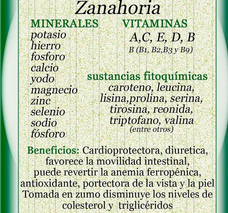 Propiedades de la zanahoria