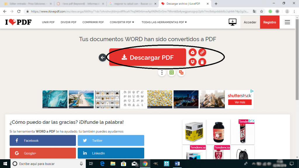 Archivo modificado, opciones de guardado y descarga